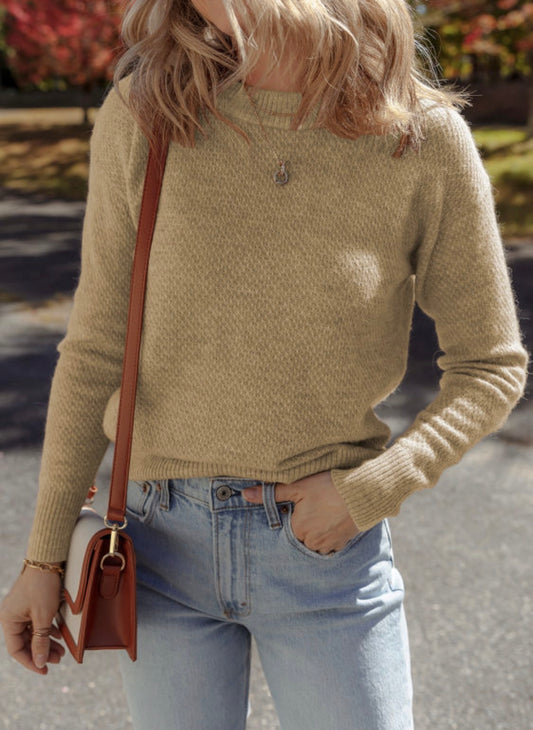 Brushed Knit Casual Fitted Sweater