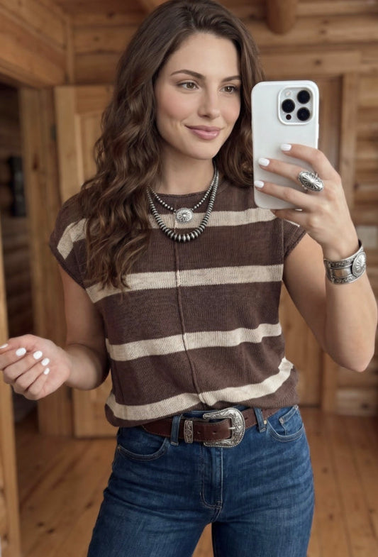 Brown Stripe Knit Short Sleeve Sweater