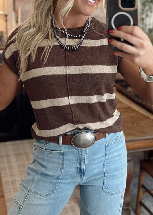 Brown Stripe Knit Short Sleeve Sweater