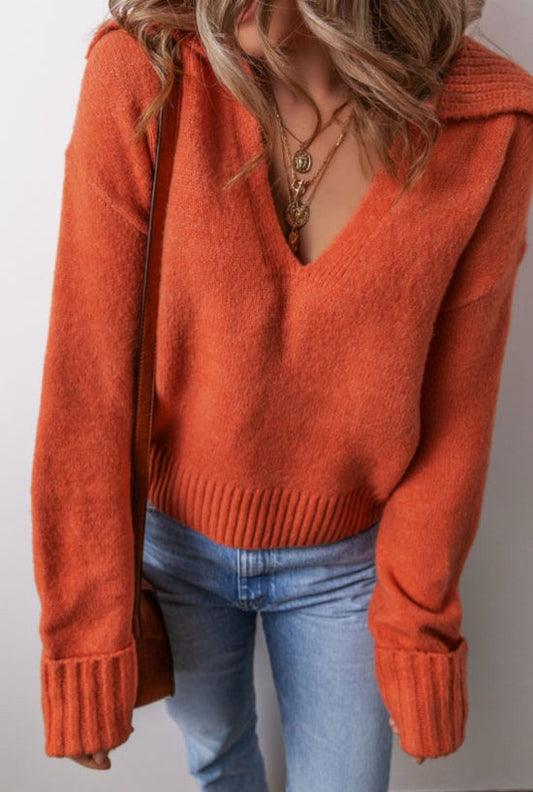 Flamingo collard Vneck sweater